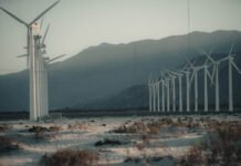 Photographer snaps gorgeous photos in nature