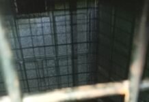 ಚಾಮರಾಜನಗರ: ಮಾದಪ್ಪನ ಭಕ್ತನ ಕೊಂದ ಡೇಂಜರ್ ಚಿರತೆ ಸೆರೆ ಹಿಡಿದ ಅರಣ್ಯ ಇಲಾಖೆ