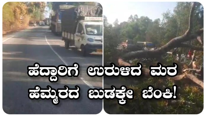 InShot_20260205_100528704