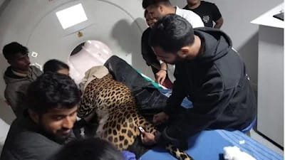 WhatsApp Image 2026-02-07 at 12.39.25 PM