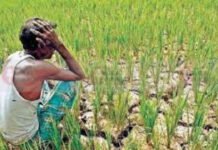 Bengaluru:ಬೆಂಗಳೂರು: 2026 ರ ಸಿಎಂ ಸಿದ್ದರಾಮಯ್ಯ ಮಂಡಿಸಿದ ಬಜೆಟ್ ನ ಮುಖ್ಯಾಂಶಗಳು – ಸಹಕಾರ ಕ್ಷೇತ್ರದಲ್ಲಿ ಸಿದ್ದು ಕೊಟ್ಟಿದ್ದೇನು? Farmers receiving cooperative bank loans and agriculture market activity in Karnataka