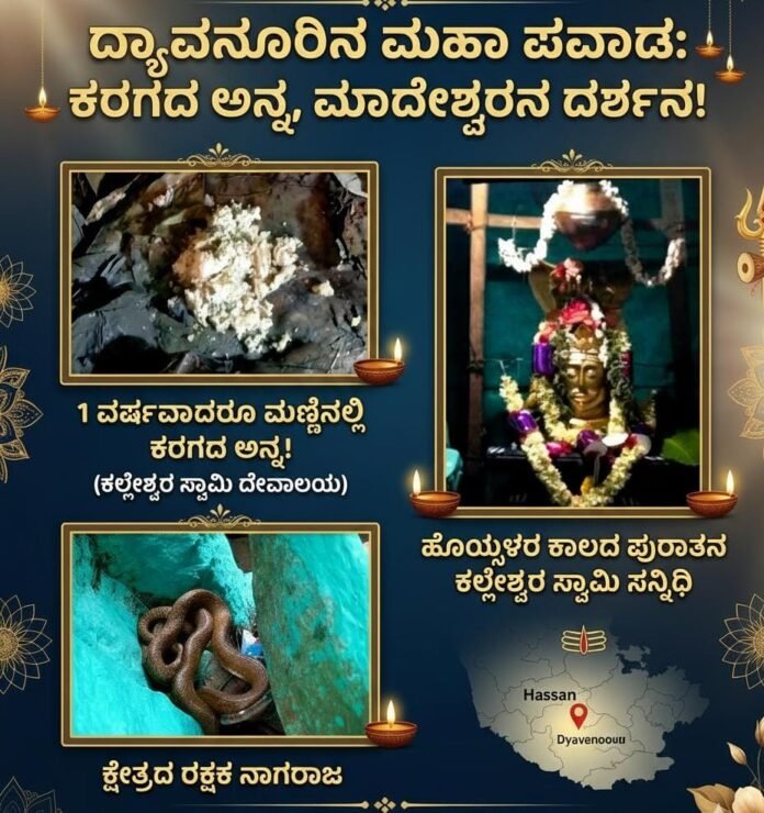 Dyavanuru Shiva miracle rice buried in temple soil remains intact Hassan district