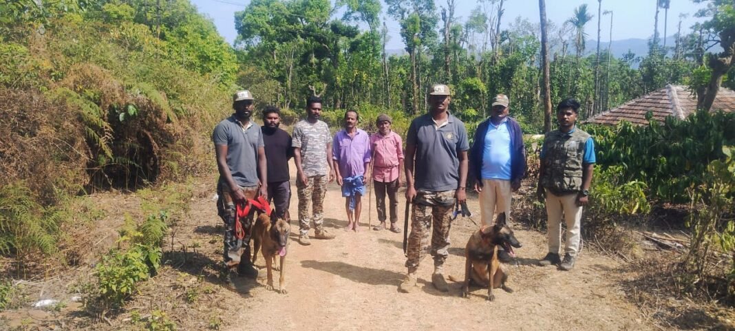 ಮುತ್ತೋಡಿ ಅರಣ್ಯದಲ್ಲಿ ಕಾಡ್ಗಿಚ್ಚು ನಿಯಂತ್ರಣಕ್ಕೆ ಅರಣ್ಯ ಸಿಬ್ಬಂದಿ ಕಾರ್ಯಾಚರಣೆ