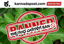 Ashwagandha: ಅಶ್ವಗಂಧದ ಎಲೆ ಅಪಾಯಕಾರಿಯೇ? ಕೇಂದ್ರ ಸರ್ಕಾರ ಆಹಾರ ಪದಾರ್ಥಗಳಲ್ಲಿ ಅಶ್ವಗಂಧ ಎಲೆ ಬಳಕೆ ನಿಷೇಧಿಸಿದ್ದು ಏಕೆ?