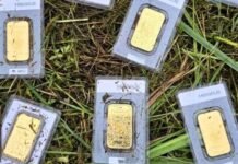 ಬಾನ್ನೆವಿಟ್ಜ್: ಹುಲ್ಲು ಕತ್ತರಿಸುವಾಗ ಸಿಕ್ಕಿತು 35 ಲಕ್ಷ ರೂಪಾಯಿ ಮೌಲ್ಯದ ಚಿನ್ನದ ಗಟ್ಟಿ, ಅದೃಷ್ಟ ತಂದಿತ್ತ ಪಾಲಿಕೆ ಸಿಬ್ಬಂದಿ ಜರ್ಮನಿಯ ಬಾನ್ನೆವಿಟ್ಜ್ನಲ್ಲಿ ಹುಲ್ಲಿನ ಮಧ್ಯೆ ಪತ್ತೆಯಾದ 10 ಚಿನ್ನದ ಬಿಸ್ಕೆಟ್ಗಳು – ಸುಮಾರು ₹35 ಲಕ್ಷ ಮೌಲ್ಯ