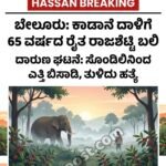 Hassan:ಕಾಡಾನೆ ದಾಳಿಗೆ ರೈತ ಬಲಿ; ಸೊಂಡಿಲಿನಿಂದ ಎತ್ತಿ ಬಿಸಾಡಿ, ತುಳಿದು ಕೊಂದ ಆನೆ
