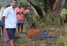 Hassan Breakning News: ಸಿಡಿಲು ಬಡಿದು 70 ವರ್ಷದ ವೃದ್ಧೆ ದಾರುಣ ಅಂತ್ಯ; ಮರದಡಿ ನಿಂತಿದ್ದಾಗ ಸಂಭವಿಸಿದ ದುರಂತ