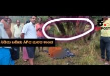 Hassan Breakning News: ಸಿಡಿಲು ಬಡಿದು 70 ವರ್ಷದ ವೃದ್ಧೆ ದಾರುಣ ಅಂತ್ಯ; ಮರದಡಿ ನಿಂತಿದ್ದಾಗ ಸಂಭವಿಸಿದ ದುರಂತ