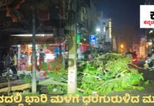 ಹಾಸನ:ಗುಡುಗು-ಸಹಿತ ಭಾರಿ ಮಳೆಗೆ ಧರೆಗುರುಳಿದ ಮರಗಳು, ತಂಪಾದ ವಾತಾವರಣ | Hassan Rain