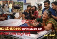 Chikkamagaluru|ಚಿಕ್ಕಮಗಳೂರು: ಕಾಫಿನಾಡಲ್ಲಿ ಕಾಡುಕೋಣ ದಾಳಿಗೆ 30 ವರ್ಷದ ಯುವಕ ಬಲಿ