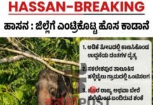 Hassan: ಸಕಲೇಶಪುರಕ್ಕೆ ಇದೆಲ್ಲಿಂದ ಬಂತು ಚೂಪು ದಂತದ ದೈತ್ಯ ಕಾಡಾನೆ?
