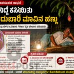ವಿಶ್ವದ ಅತಿ ದುಬಾರಿ ಮಿಯಾಜಾಕಿ (Miyazaki) ಮಾವಿನ ಹಣ್ಣು ಬೆಳೆದು ನಿದ್ದೆ ಕಳೆದುಕೊಂಡ ರೈತ!