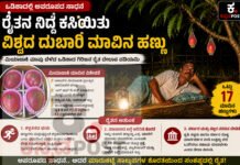 ವಿಶ್ವದ ಅತಿ ದುಬಾರಿ ಮಿಯಾಜಾಕಿ (Miyazaki) ಮಾವಿನ ಹಣ್ಣು ಬೆಳೆದು ನಿದ್ದೆ ಕಳೆದುಕೊಂಡ ರೈತ!