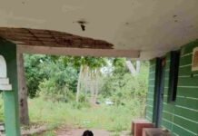 ಸ್ಟಾರ್ಗಿರಿ ಮರೆತು ಹಳ್ಳಿ ಹೈದನಾದ ಪ್ರಭುದೇವ! ಬಾಲ್ಯದ ಗೆಳೆಯರ ಜೊತೆ ನೆಲದ ಮೇಲೆ ಕುಳಿತು ಊಟ; ಸರಳತೆಗೆ ಫಿದಾ ಆದ ಅಭಿಮಾನಿಗಳು