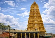 ಚಾಮುಂಡಿಬೆಟ್ಟದಲ್ಲಿ ಆಷಾಢ ಸಂಭ್ರಮ: ಪ್ಲಾಸ್ಟಿಕ್ ಬಳಸಿದರೆ ₹10,000 ವರೆಗೆ ದಂಡ, ಪಾಲಿಕೆಯ ಖಡಕ್ ಎಚ್ಚರಿಕೆ