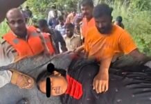 Hassan: ಹೇಮಾವತಿ ನದಿಗೆ ಜಿಗಿದು ಆತ್ಮಹತ್ಯೆಗೆ ಯತ್ನಿಸಿದ ಮಹಿಳೆಯ ರಕ್ಷಣೆ | Hassan News