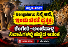 Bengaluru: ನಿನ್ನೆ ಆನೆ, ಇಂದು ಚಿರತೆ ಪ್ರತ್ಯಕ್ಷ; ಕೆಂಗೇರಿ-ಅಂಚೆಪಾಳ್ಯ ನಿವಾಸಿಗಳಲ್ಲಿ ಹೆಚ್ಚಿದ ಆತಂಕ
