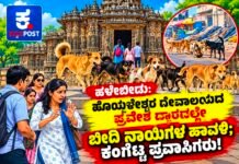ಹಳೇಬೀಡು: ಹೊಯ್ಸಳೇಶ್ವರ ದೇವಾಲಯದ ಪ್ರವೇಶ ದ್ವಾರದಲ್ಲೇ ಬೀದಿ ನಾಯಿಗಳ ಹಾವಳಿ; ಕಂಗೆಟ್ಟ ಪ್ರವಾಸಿಗರು!